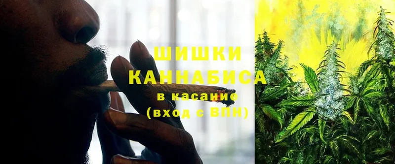 Бошки марихуана OG Kush  Козьмодемьянск 